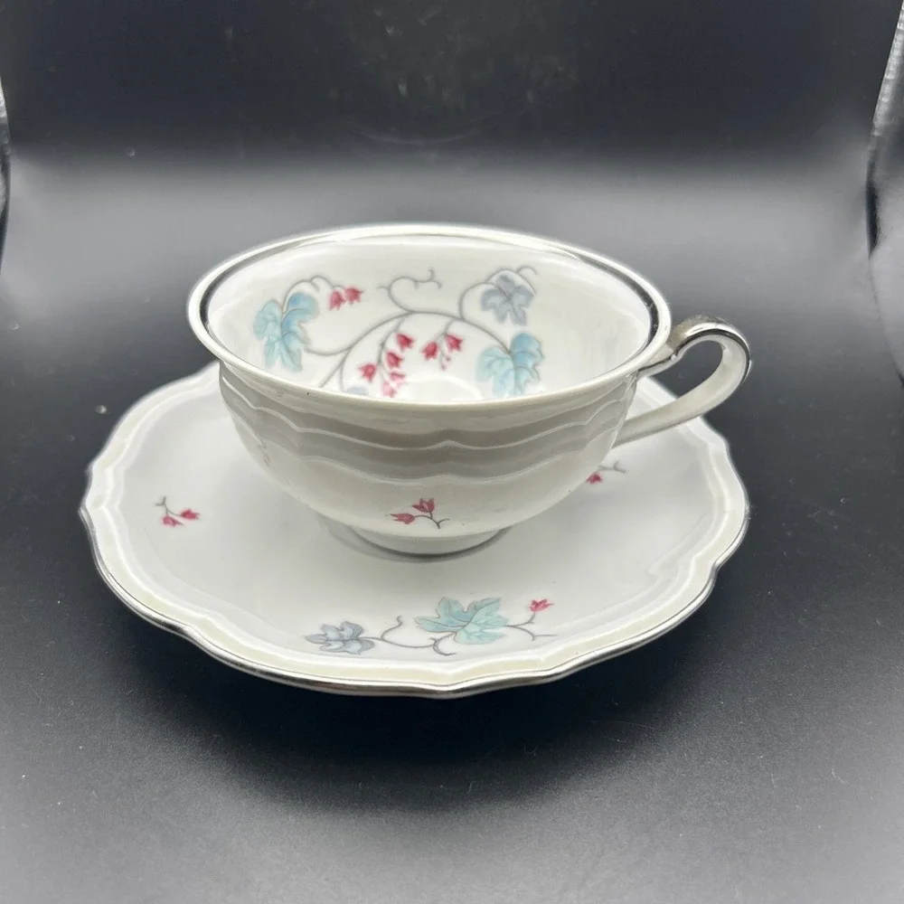 Vintage Baronet Floral Porcelain Tea Cup and Saucer Set With Silver Trim Japan